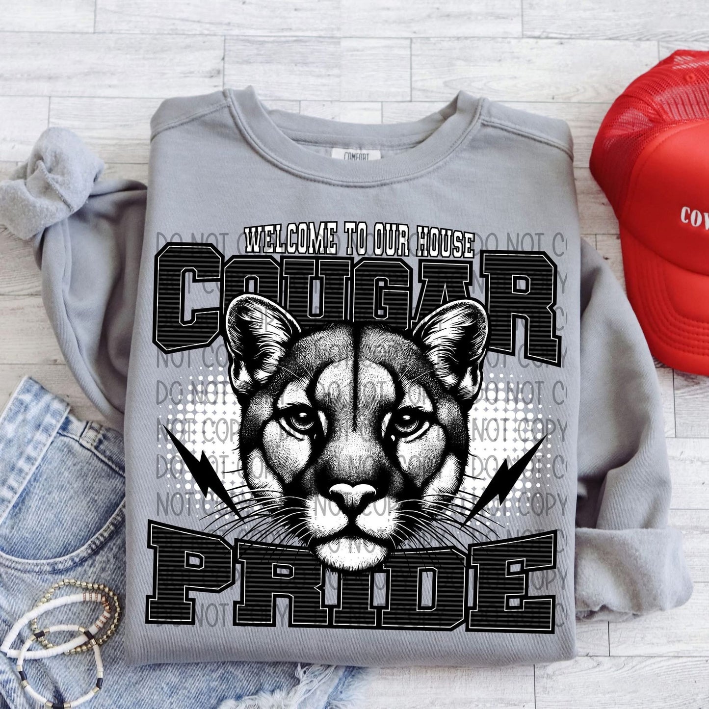 Welcome to our house school spirit