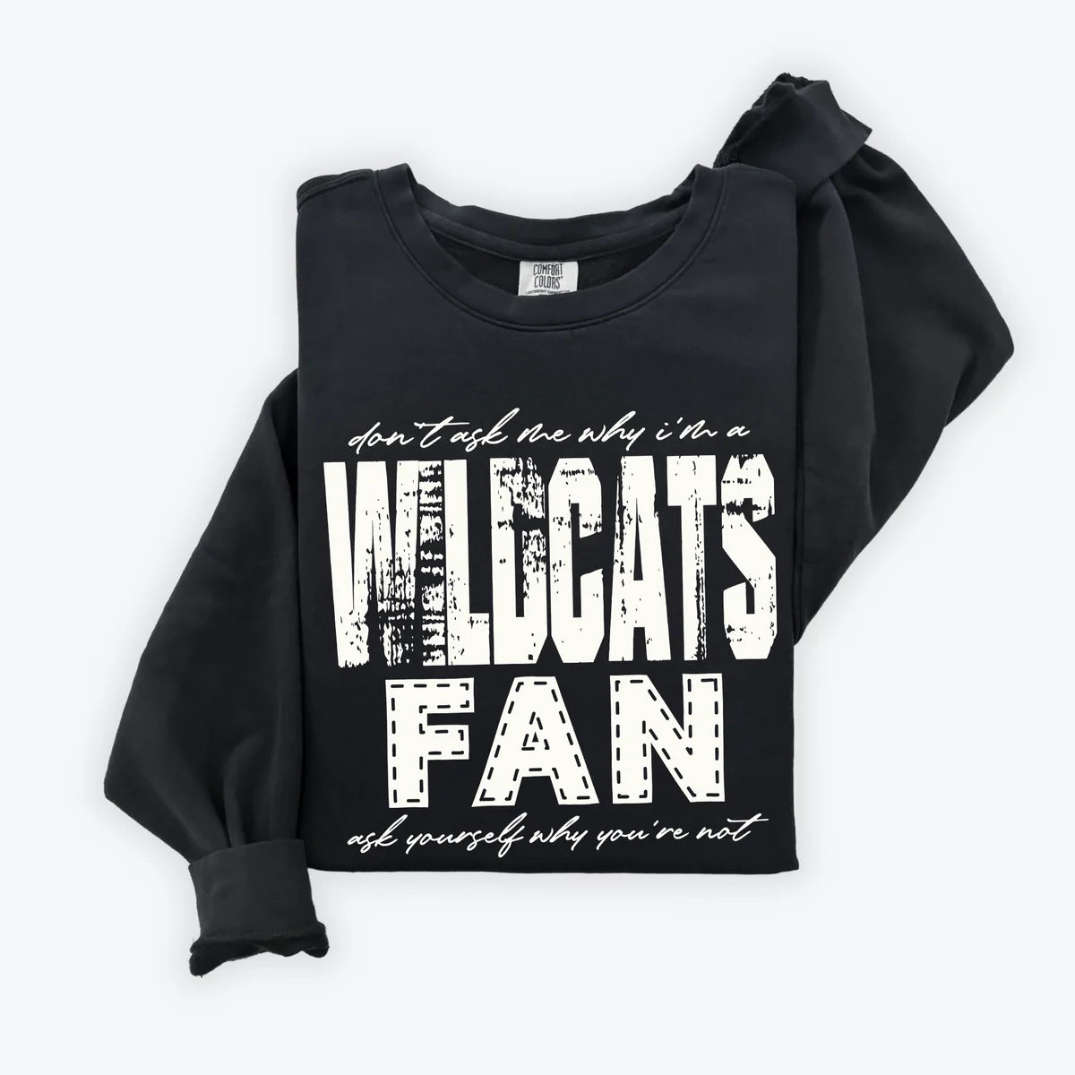 Wildcats Fan