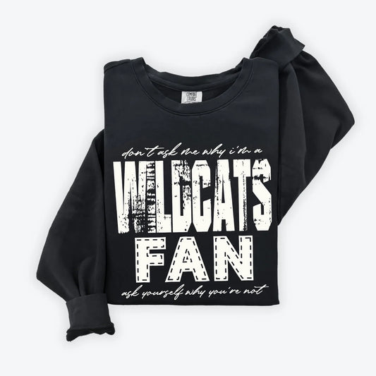 Wildcats Fan
